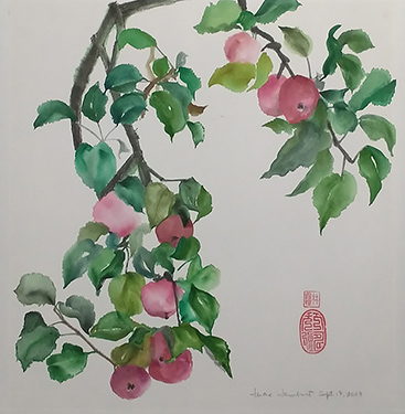 Click here to see a detailed view