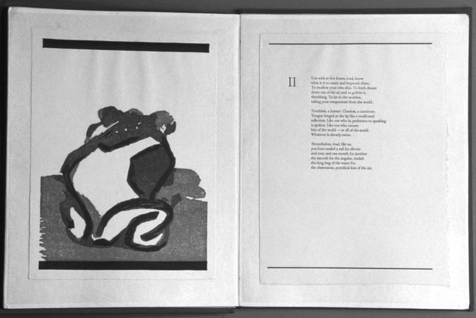 Conversations with a Toad